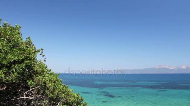 Güzel sığ deniz bay, çam ağaçlarının çevresinde bitki örtüsü ile