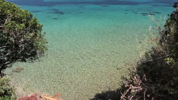 Laut dangkal yang indah dengan vegetasi di sekitar teluk, pohon pinus — Stok Video