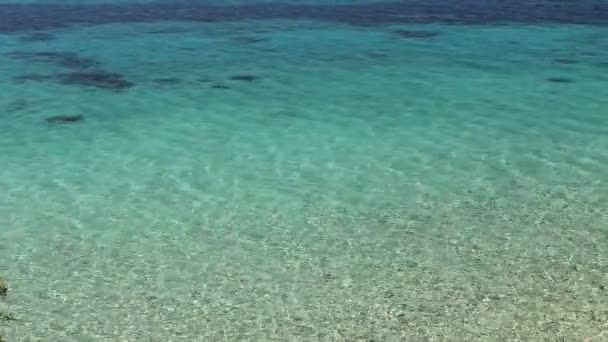 Πανέμορφη ρηχή θάλασσα — Αρχείο Βίντεο
