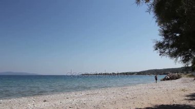 Kayalık plaj çam ağacı gölgesi