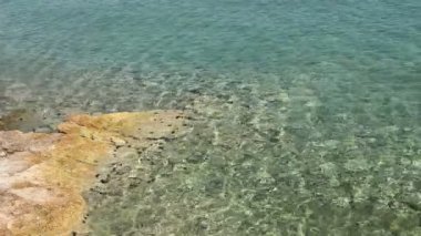 Güzel sığ deniz, kristal berraklığında su ile defne 