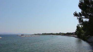 Defne yalak çam ağacı, yapay resif görüntülemek 