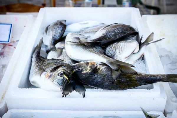 Свіжі Дорада в коробку з льоду на рибному ринку — стокове фото