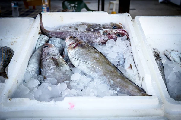 Φρέσκα θαλασσινά σε κουτί με πάγο κατά την αγορά ψαριών — Φωτογραφία Αρχείου