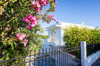 Çiçek yeşil bitki örtüsü ile çevrili ev