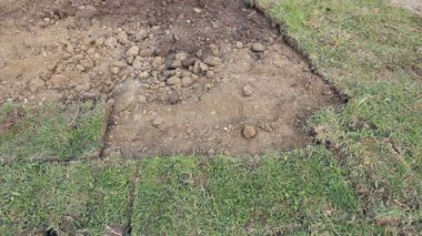 Yeni bir lawnworker için konut bir yerde yeni Bahçe çim Serme çim unrolling için unrolling çimen, uygulanan çim rulo.