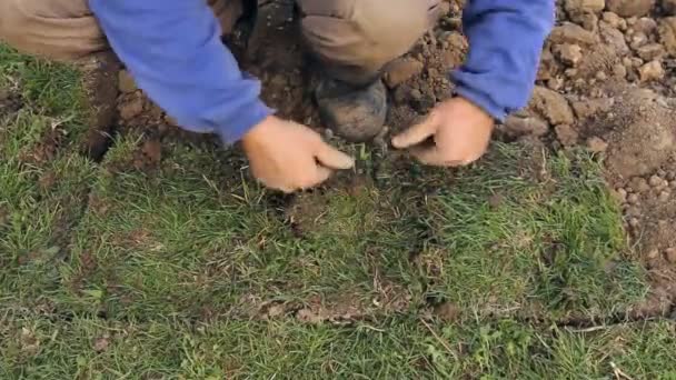 Yeni Bir Lawnworker Için Konut Bir Yerde Yeni Bahçe Çim — Stok video