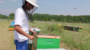 Apiarist, arıcı arılar petek ahşap çerçeve üzerinde kontrol ediyor. Arıcı dışarı ahşap çerçeve üzerinde petek arı kolonisi durumda denetim için alıyor.