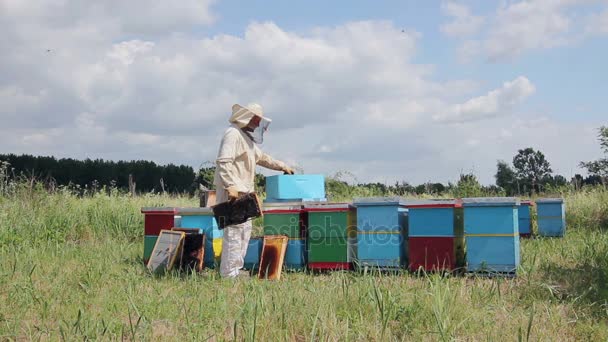 Apiarista Apicultor Que Trabaja Apiarioapicultor Está Controlando Situación Colonia Abejas — Vídeo de stock