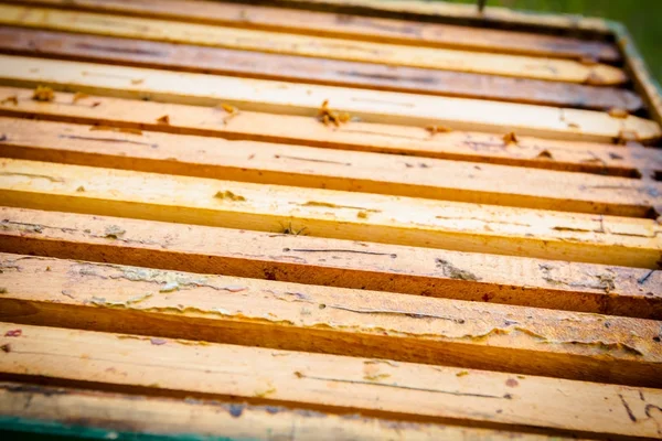 Bienen kommen aus dem offenen Stock — Stockfoto
