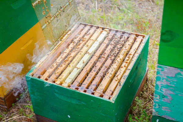 Las abejas están saliendo de la colmena abierta —  Fotos de Stock