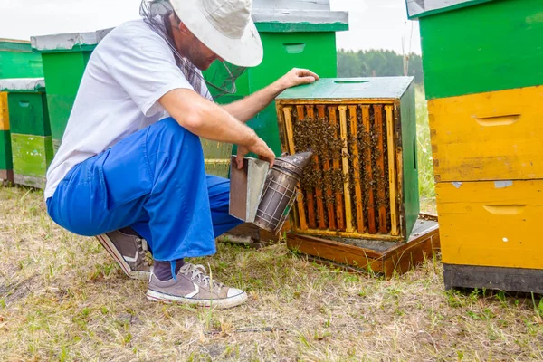 Apiarista, apicoltore a mani nude che lavora con le api — Foto Stock