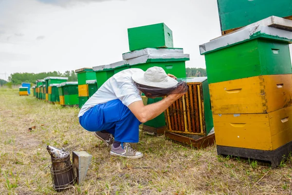 Pszczelarzy, pszczelarz barehanded pracę z pszczoły — Zdjęcie stockowe