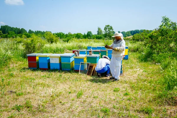 Deux ruchers, des apiculteurs vérifient les abeilles sur du bois de nid d'abeille — Photo