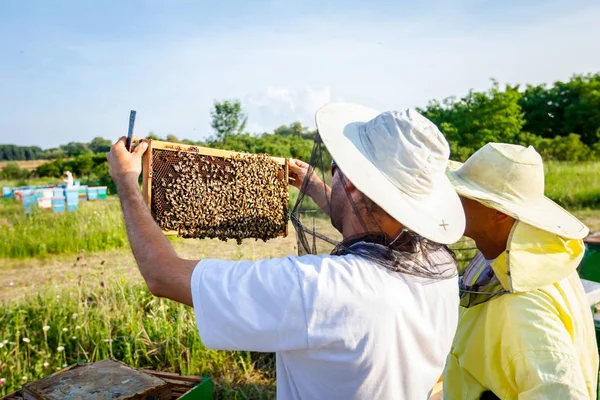 Apiarista, l'apicoltore tiene il favo a mani nude con le api — Foto Stock