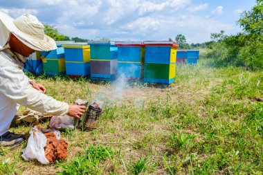 Apiarist, arıcı hazırlamak bir arı kovanına kullanmak için sigara içen