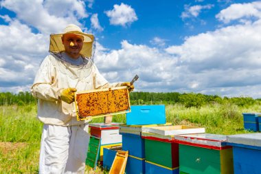 Memnun apiarist, arıcı mühürlü dolu petek zekâ tutuyor