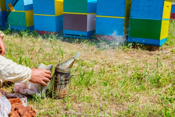 Méhész, méhész előkészíti a dohányos, hogy használ egy méhkas — Stock Fotó