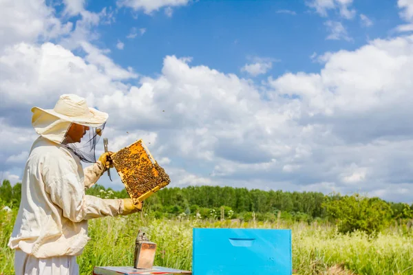 Apiariste, l'apiculteur tient un nid d'abeille — Photo