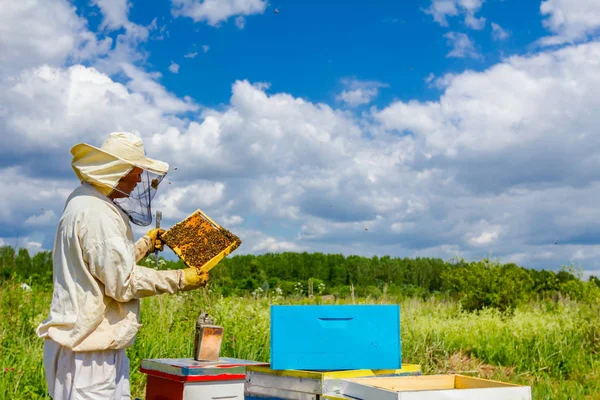 Apiarist, imker houdt honingraat met bijen — Stockfoto