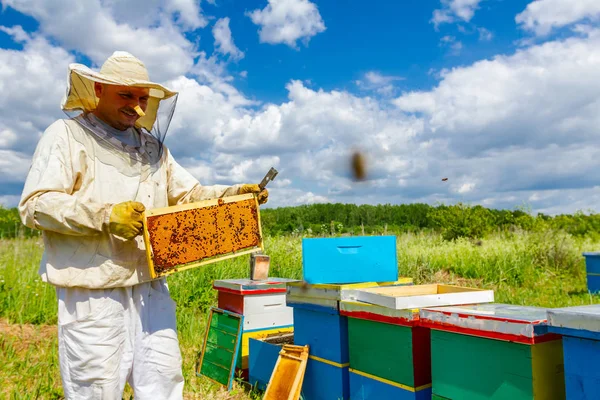 Piacevole apiarista, apicoltore sta tenendo sigillato pieno alveare arguzia — Foto Stock