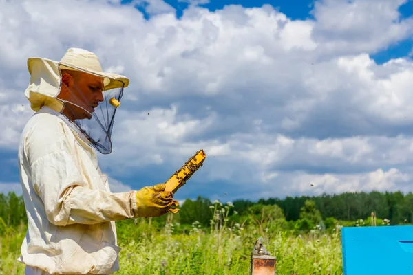 Apiarista, apicultor sostiene panal con abejas —  Fotos de Stock