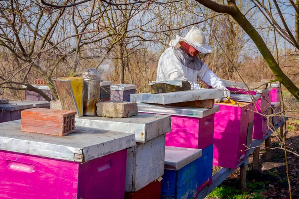 Apiarist sta facendo la situazione di controllo primaverile nella colonia delle api — Foto Stock