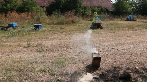 养蜂的烟雾罐 打开的 Groundapiarist 养蜂已经离开吸烟者在地面上增加烟雾 — 图库视频影像