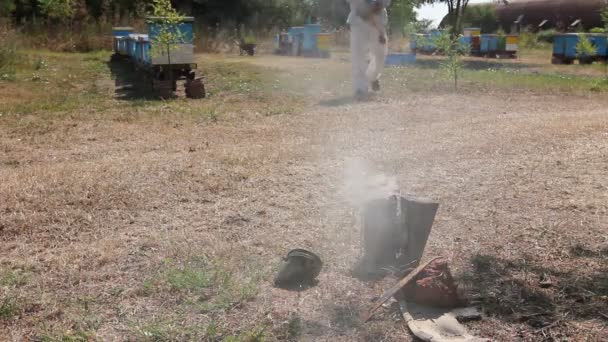 Μελισσοκόμος Του Καπνίζοντας Δοχείο Τον Καπνό Ανοικτή Για Groundapiarist Μελισσοκόμος — Αρχείο Βίντεο