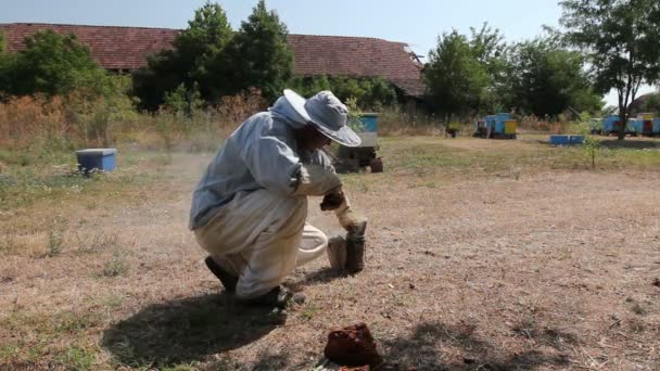 养蜂准备吸烟者使用的 Beehivebeekeeper 正在灌装 准备与干木材在蜜蜂吸烟者 — 图库视频影像