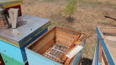 Arıcı kıl arılar Apiarist piyango arılar Petek Bal özü, hasat zamanı için fırça ile üzerinden dışarı kurtulmak için kullanıyor.