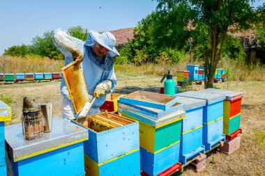 Arıcı kıl arıdan kurtulmak için kullanıyor 