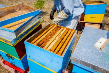 Apiarist, arıcı hasat tatlım, vintage