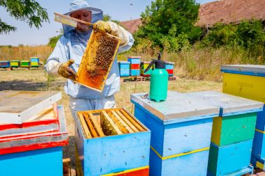 Arıcı kıl arıdan kurtulmak için kullanıyor 
