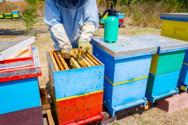 Apiarist, arıcı hasat tatlım, vintage