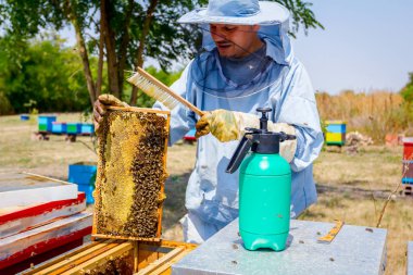 Arıcı kıl arıdan kurtulmak için kullanıyor 