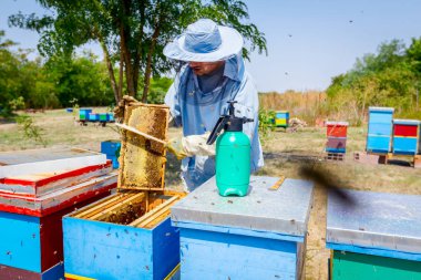 Arıcı kıl arıdan kurtulmak için kullanıyor 