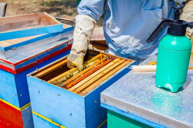 Apiarist, arıcı hasat tatlım, vintage