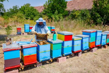 Apiarist, arıcı hasat tatlım, vintage