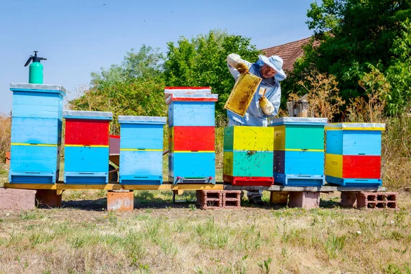 Beekeeper is using bristle to get rid of bees