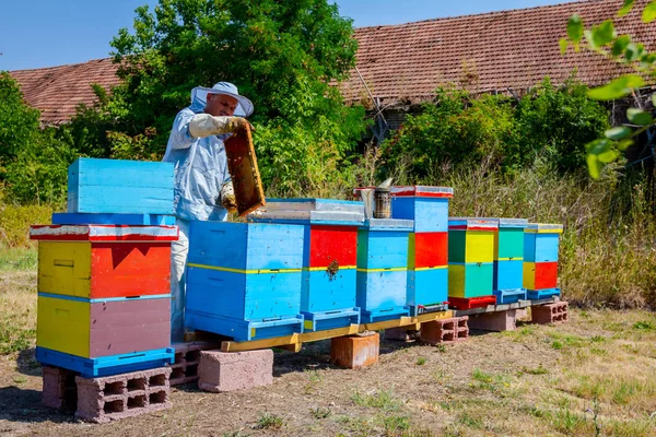 L'apicoltore sta usando setole per sbarazzarsi delle api — Foto Stock