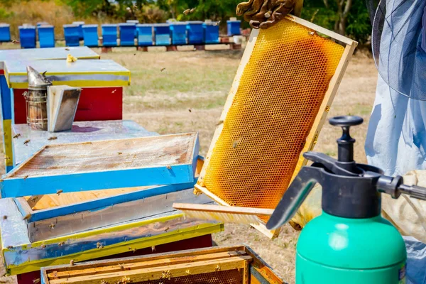 Beekeeper is using bristle to get rid of bees