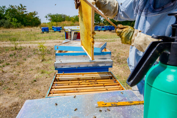 Beekeeper is using bristle to get rid of bees 