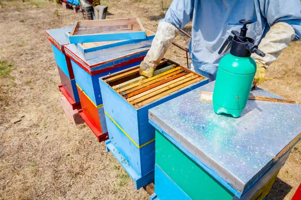 Apiarista, apicultor cosecha miel, vendimia —  Fotos de Stock