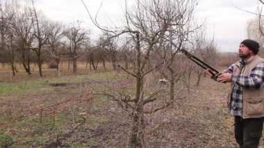 Bahçıvan kesme dalları, budama meyve ağaçları meyve uzun makası ile olduğunu. Çiftçi erken ilkbahar uzun loppers kullanarak orchard meyve ağaçlarının dalları budama.
