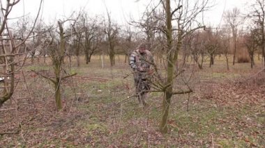 Bahçıvan kesme dalları, budama meyve ağaçları meyve uzun makası ile olduğunu. Çiftçi erken ilkbahar uzun loppers kullanarak orchard meyve ağaçlarının dalları budama.