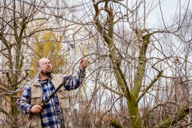 Kesme dalları, budama meyve ağaçları uzun shea ile bahçıvan olduğunu