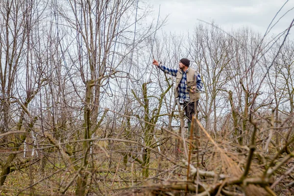Farmář je prořezávání větví ovocných stromů v sadu pomocí dlouhé — Stock fotografie