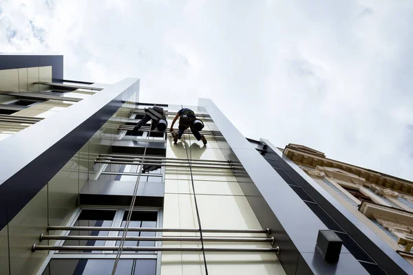 Equipo de escaladores industriales en el trabajo, están lavando la fachada del edificio . —  Fotos de Stock