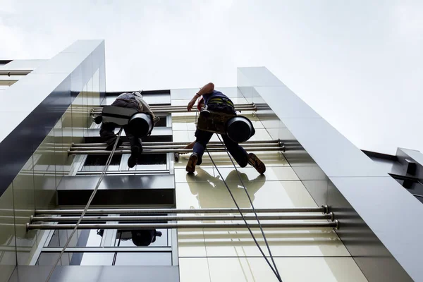 Equipo de escaladores industriales en el trabajo, están lavando la fachada del edificio . —  Fotos de Stock